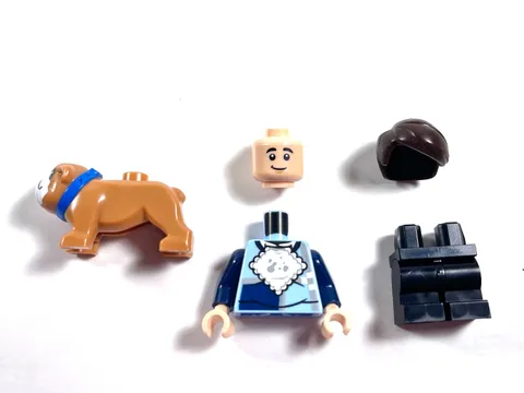 LEGO Dudley Dursley Minifigure  - 76451 Harry Potter Privet Drive Aunt Marge