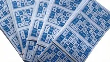 Bingo Binvi Box, 1600 Count