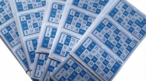 Bingo Binvi Box, 1600 Count
