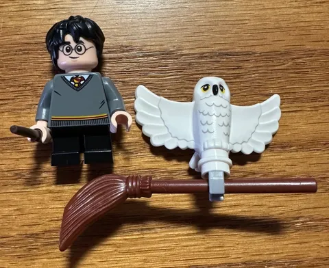 LEGO Harry Potter 30420 HARRY POTTER minifigure with Hedwig