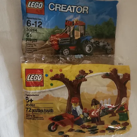 LEGO 40057 Fall Scene Seasonal Polybag 72pc Limited Edition Retired 2013
