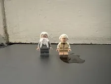 Old Characters From The Hobbit From Set 10316