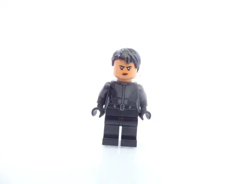 Selina Kyle LEGO Minifigure Lot Marvel Super Heroes 76183 76179