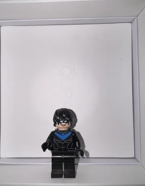 LEGO Nightwing Minifigure Black Suit Blue Chest Emblem Mask Plastic Figure