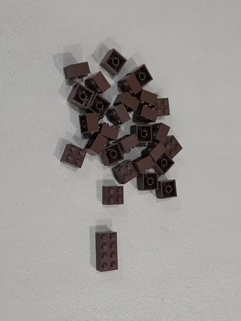 Lego Qty 29 - Dark Brown Bricks - 3001 2x4 / 3003 2x2 - Sorted MOC
