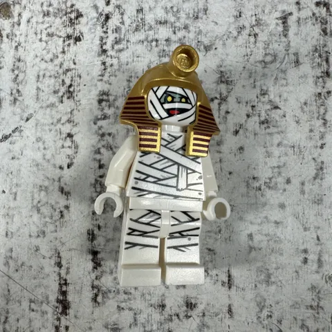 LEGO Scooby-Doo Dr. Najib / Mummy Minifigure 75900 WH27