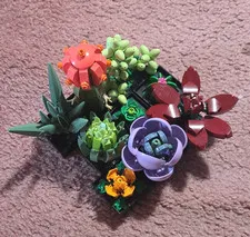 LEGO Icons Botanical Collection 10309 Succulents