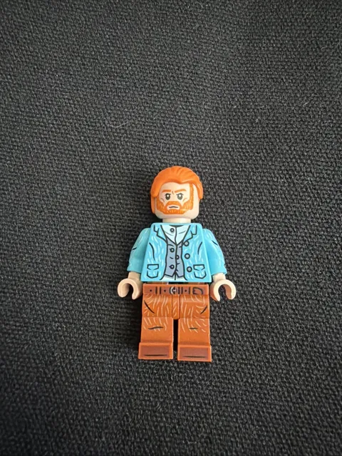 LEGO Vincent van Gogh Minifigure idea106 -  21333 The Starry Night