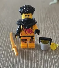 LEGO NINJAGO ARIN   Dragons Rising Minifigure 