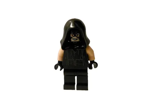 LEGO HARRY POTTER 75947 HAGRID'S HUT MINI FIGURE Buckbeak RESC Executioner HP183