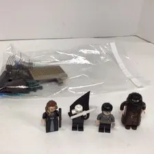 LEGO Harry Potter 4865 The Forbidden Forest 100% Complete W/Instructions 