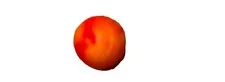 LEGO Bionicle Zamor Sphere Red w/ Marbled Bright Light Orange Pattern 54821pb01