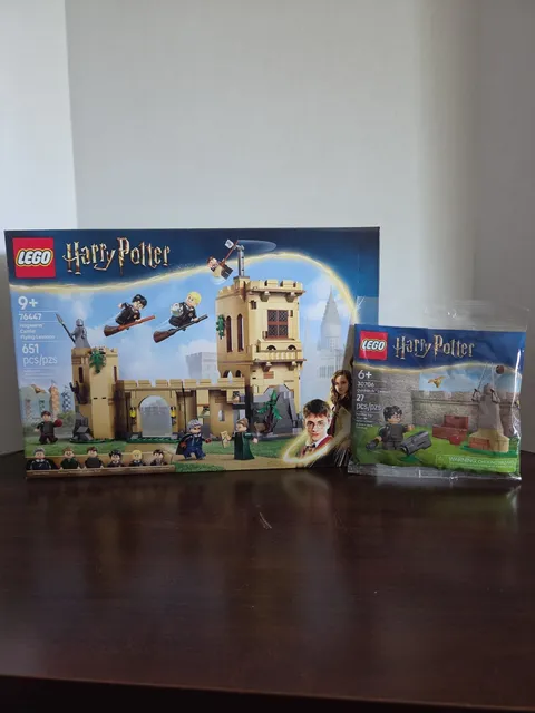 LEGO Harry Potter Hogwarts Castle Flying Lesson 76447 and 30706 Quidditch Lesson