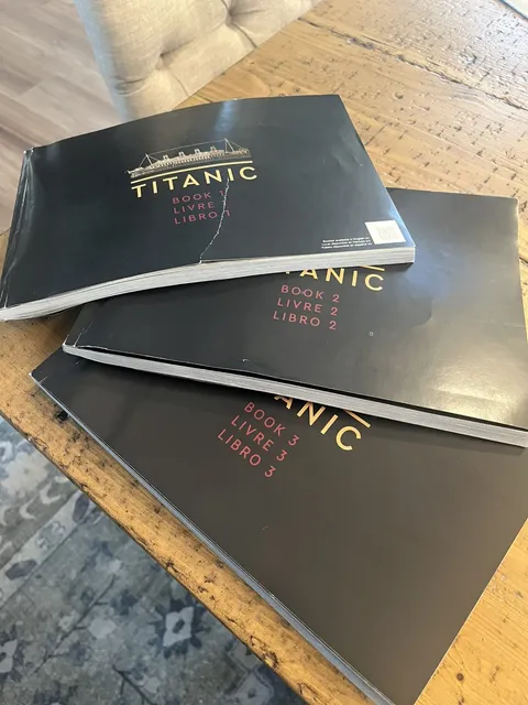 LEGO 10294 Titanic Instruction Manuals Only