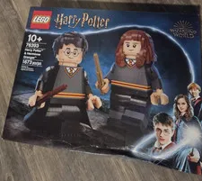 LEGO Harry Potter: Harry Potter & Hermione Granger (76393)