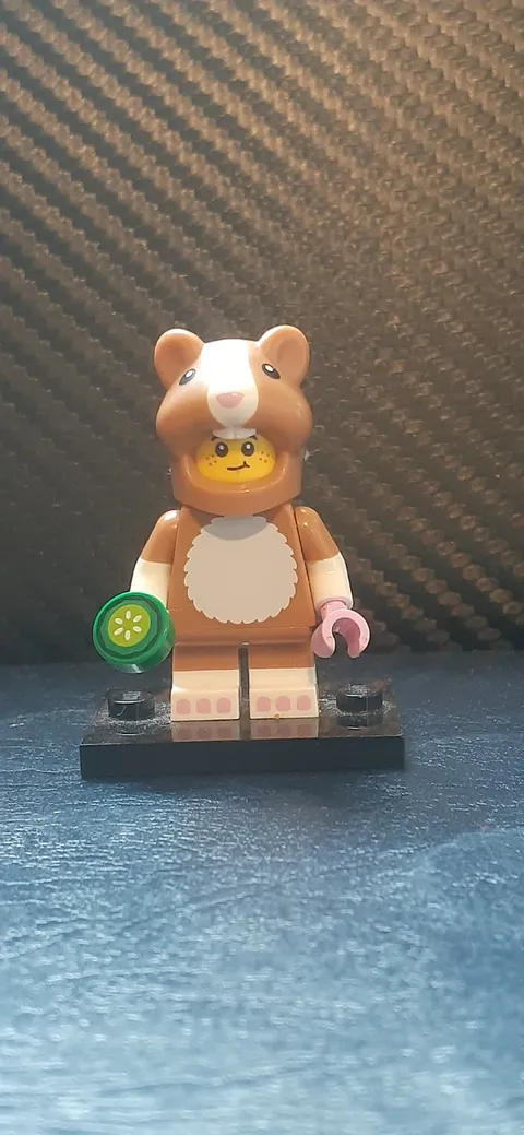 LEGO MINIFIGURES: Series 27 (71048) hamster kid