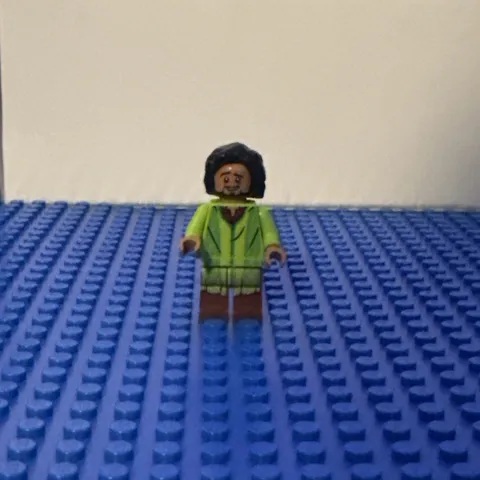 LEGO Bruno Madrigal Minifigure / Magic of Disney Encanto 21352 idea200 NEW
