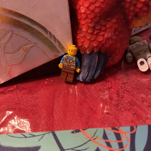 LEGO City "Camper Van Owner" minifigure, specifically identified as part number