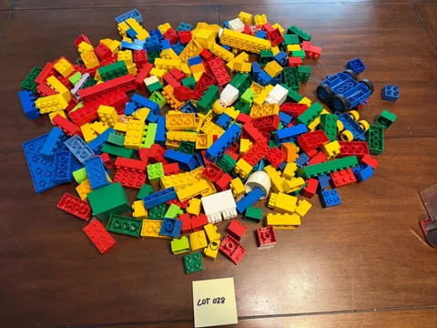 DUPLOS approximately 5.5 lbs LOT 028