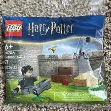 LEGO Harry Potter Quidditch Lesson 30706 Polybag Complete Set 1-MiniFig NEW