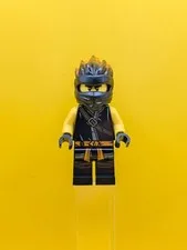 Cole FS njo0546 Ninjago Lego Minifigure