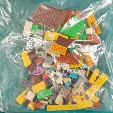 *Complete* LEGO Minecraft 21171 Bulk Lot Pieces & Parts w/ Instructions Polybag