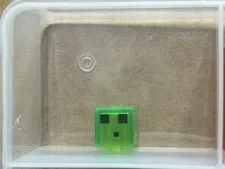 LEGO Parts - Trans-Bright Green, Head (Minecraft Slime) - No 19729pb021 - QTY 1