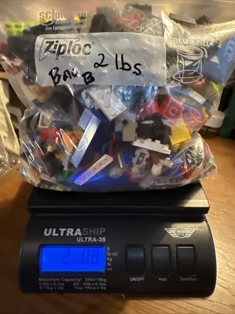 LOT BULK LEGO BRICKS AND PARTS 2 Lbs Gallon Bag Full BagB