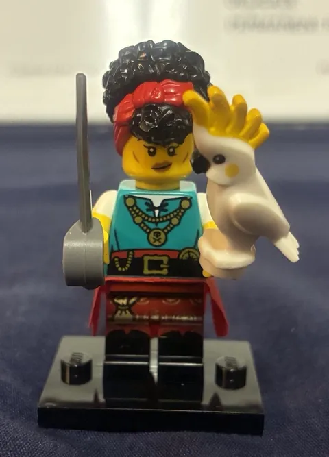 LEGO 71048 Series 27 CMF Collectible Minifigure Pirate Quartermaster