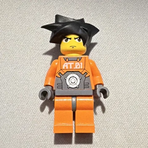 LEGO Minifigure Gate Guard, 2006 Nightwing Hair Real Lego