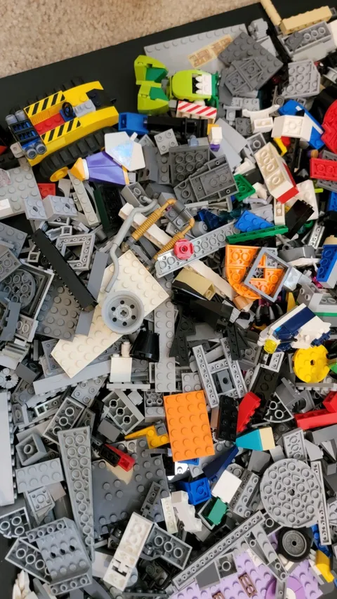 LEGO 5.5 lbs Pounds Random Parts Pieces Building Plates Blocks Bulk Lot #B