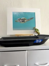 LEGO Authentic Jurassic World Baryonyx Dinosaur Boat