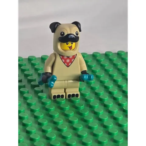 LEGO Pug Costume Guy Minifigure - Col 21-5 Series 21