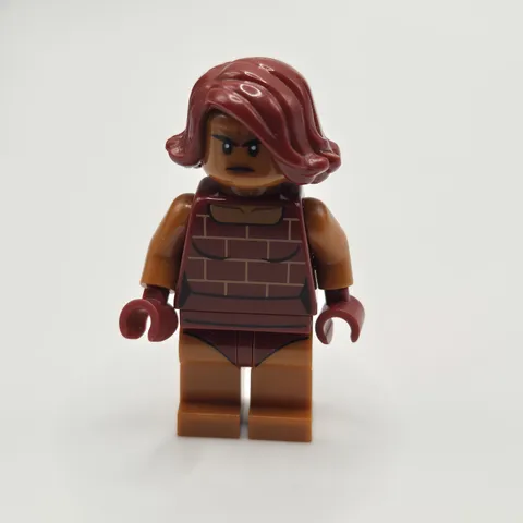 Lego Brick Minifigure incr009