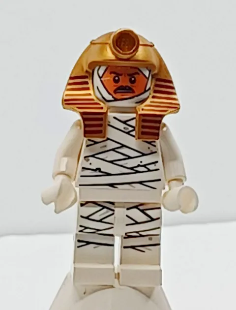 LEGO Scooby-Doo Dr. Najib Mummy Minifigure scd010 From Set 75900 Mummy Museum