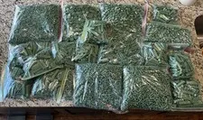 Lego 16 Lbs Of Brand New Sand Green Parts