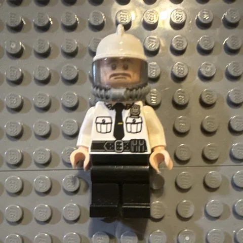 LEGO Security guard 70901 The LEGO Batman Movie Super Heroes