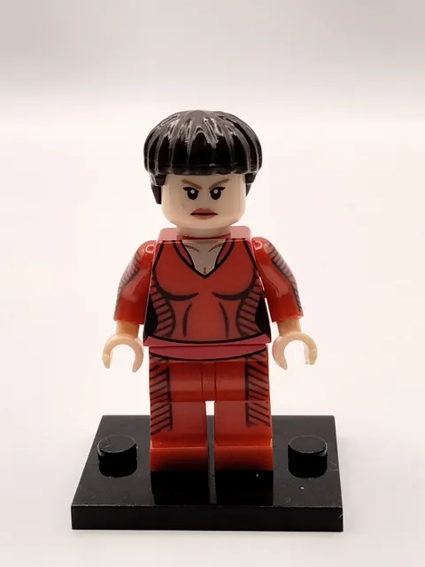 Star Trek Vulcan T'Pol Custom Lego Minifigure U.S.S. Enterprise NX-01