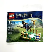 LEGO Harry Potter: Quidditch Practice (30651)