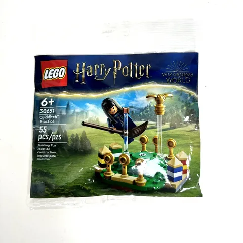 LEGO Harry Potter: Quidditch Practice (30651)