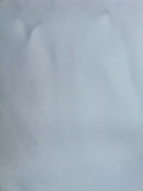 leg 2