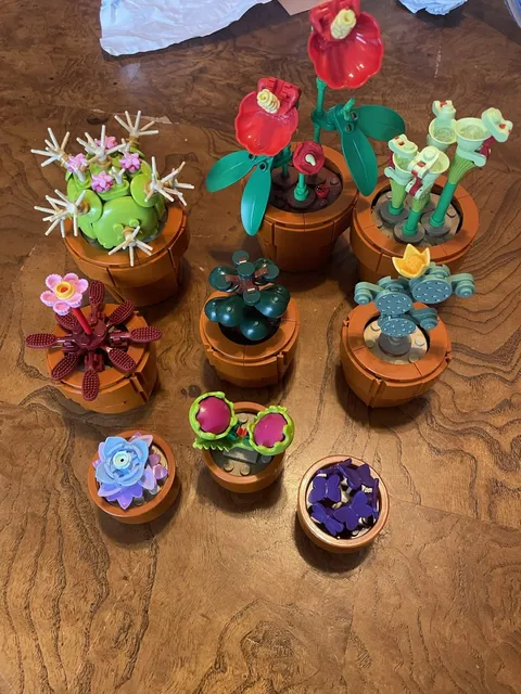 LEGO Botanicals: Tiny Plants (10329) 100% complete