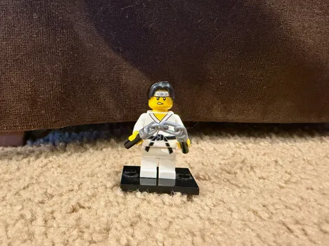 Martial Arts Boy Lego minifigure series 20