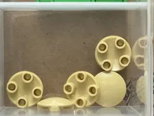LEGO Parts - Tan Plate, Round 2 x 2 (Boat Stud) - No 2654 - QTY 5