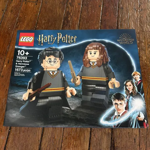 LEGO Harry Potter Harry Potter & Hermione Granger 76393 Retired