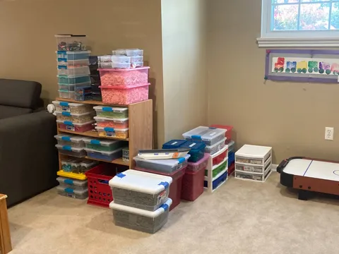 LEGO pieces sorted in Bins 