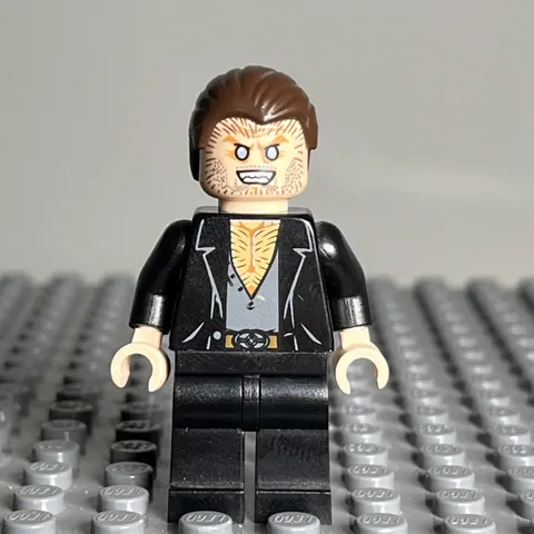 LEGO Fenrir Greyback Minifigure hp091 Harry Potter 4840 10217 - 1i