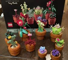 LEGO Botanicals: Tiny Plants (10329)
