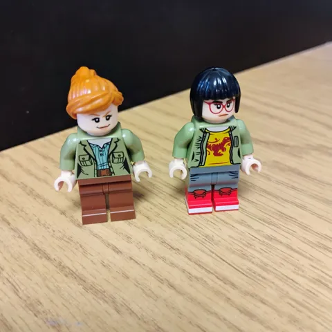 Lot LEGO Minifigures Jurassic World Fallen Kingdom Claire Dearing Zia Rodriguez
