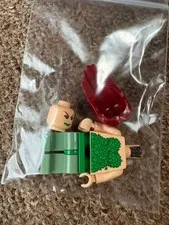 [Retired Set] LEGO Batman Arkham Asylum 7785 Figures